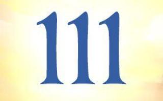 Winning Number 111