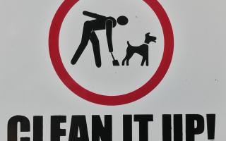 Dog fouling sign