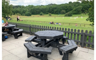 Picnic Bench