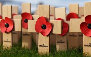 Remembrance Day