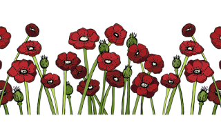 Graphic of poppy fields