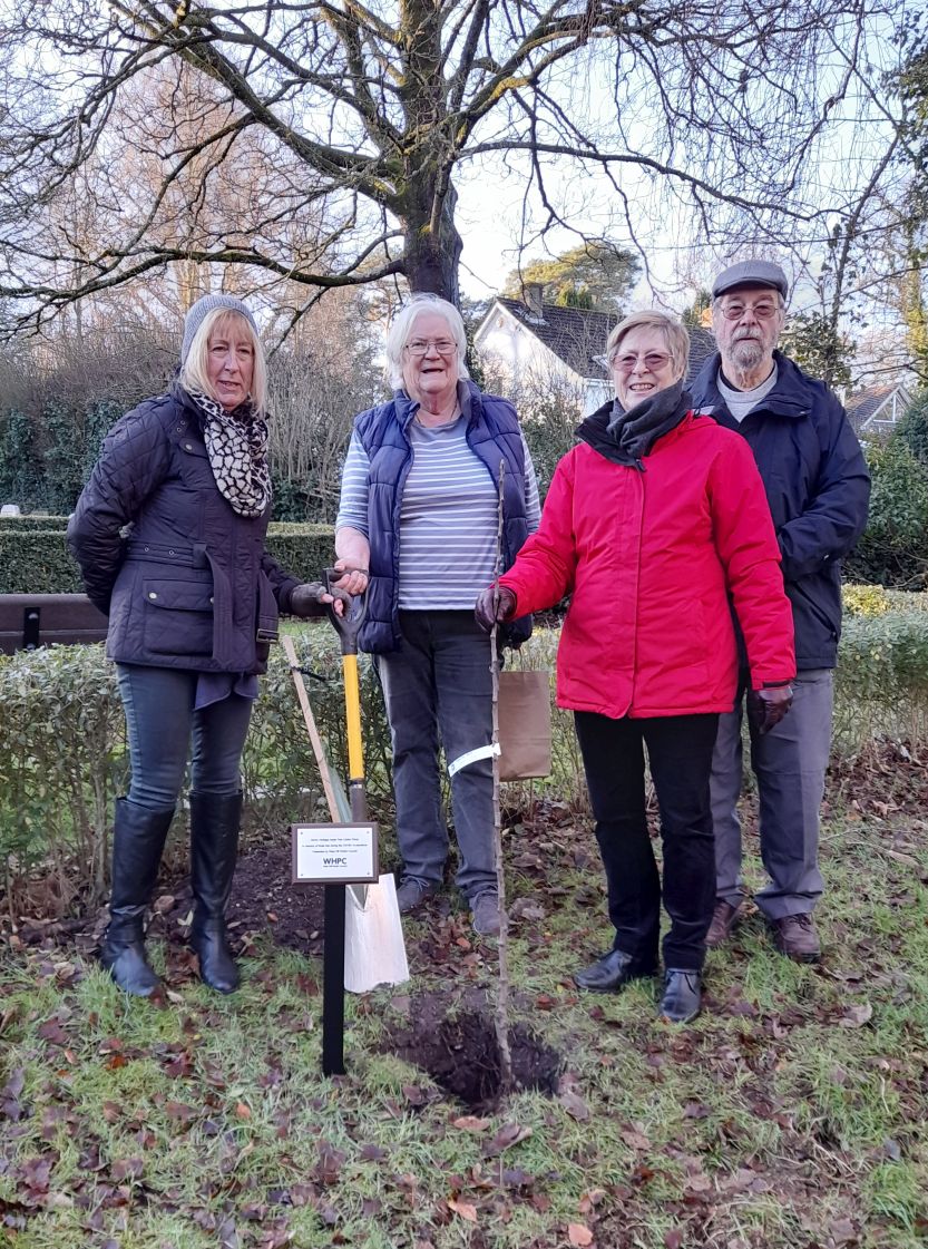 Covid memorial Tree January 2023