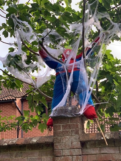 Spiderman scarecrow in tree